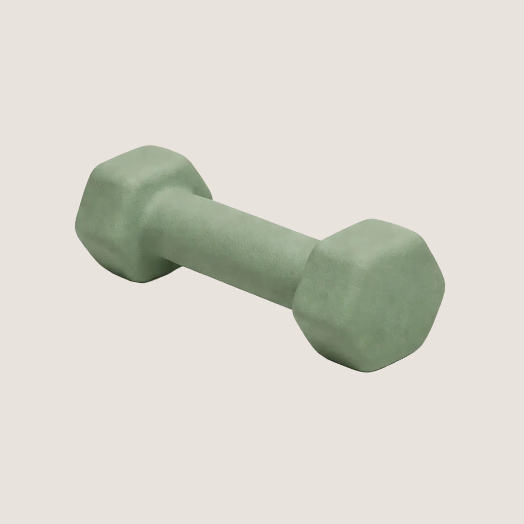 The weights